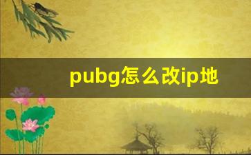 pubg怎么改ip地址_和平营地怎么改ip属地