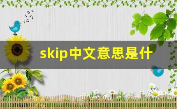 skip中文意思是什么_nice是什么意思中文