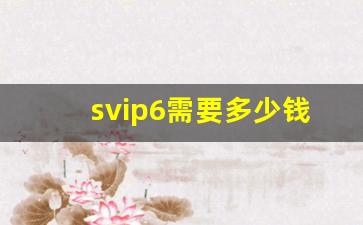 svip6需要多少钱_七境冲多少钱到SVIP6