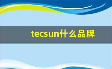 tecsun什么品牌