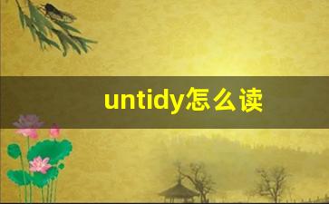 untidy怎么读