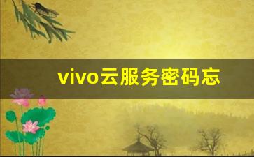 vivo云服务密码忘记了怎么办_vivo云盘密码忘了怎么办