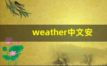 weather中文安卓版now