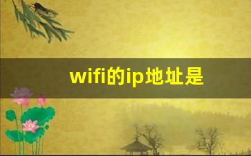 wifi的ip地址是什么_手机连WiFi正常电脑却连不上