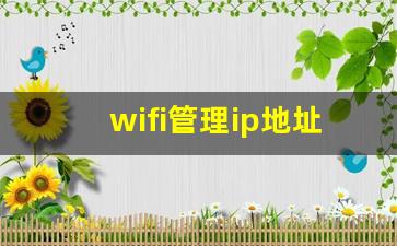 wifi管理ip地址是多少_wifi的ip地址怎么设置网络才好