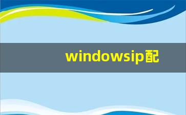 windowsip配置