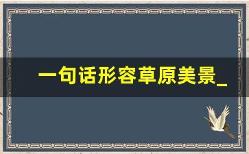 一句话形容草原美景_去草原放飞心情的句子