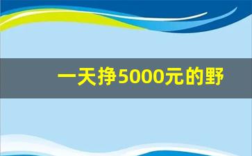 一天挣5000元的野路子