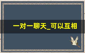 一对一聊天_可以互相开视频聊天的软件