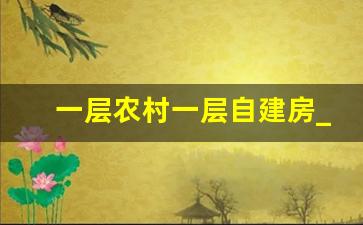 一层农村一层自建房_4万左右盖农村瓦房