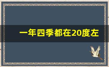 一年四季都在20度左右的城市