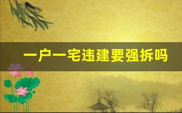 一户一宅违建要强拆吗_农村违建不会再拆了