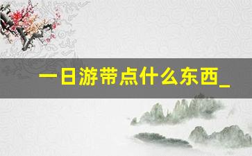 一日游带点什么东西_一日游物品清单