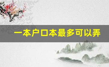 一本户口本最多可以弄几本_打户口本必须户主吗