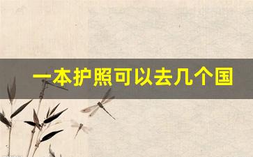 一本护照可以去几个国家_办一个出国护照多少钱