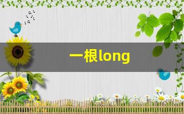 一根long