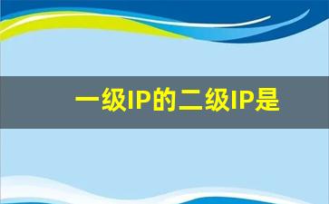 一级IP的二级IP是什么_公网IP