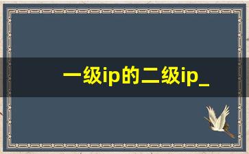 一级ip的二级ip_免费二级域名分发