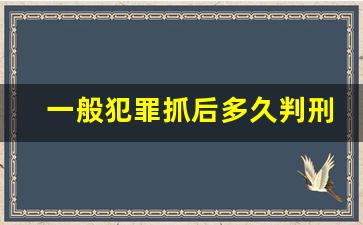 一般犯罪抓后多久判刑