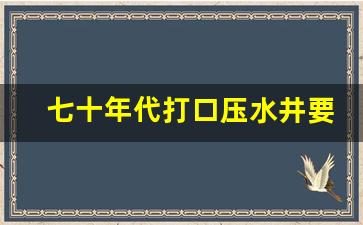 七十年代打口压水井要多少钱_60年代农村水井图片