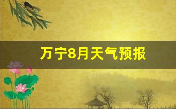 万宁8月天气预报