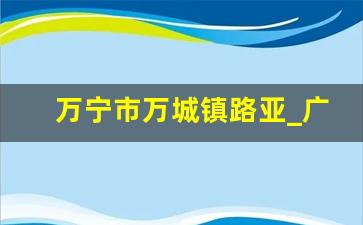 万宁市万城镇路亚_广东佛山高明路亚钓