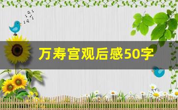 万寿宫观后感50字