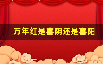 万年红是喜阴还是喜阳_万年红对光照的要求