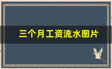 三个月工资流水图片