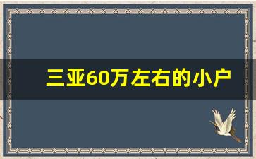 三亚60万左右的小户型_海南20万的小户型哪里有