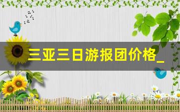 三亚三日游报团价格_海南自由行7天最佳攻略