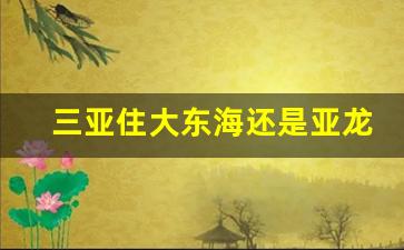 三亚住大东海还是亚龙湾_去三亚玩住在哪个湾比较方便