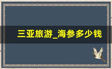 三亚旅游_海参多少钱一斤2023年价格