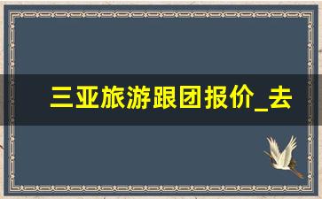 三亚旅游跟团报价_去三亚旅游要多少钱