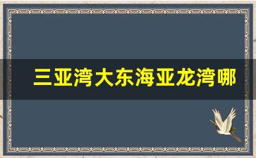 三亚湾大东海亚龙湾哪个好