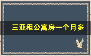 三亚租公寓房一个月多少钱_一室一厅一卫出租