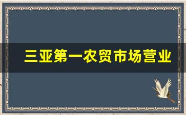 三亚第一农贸市场营业时间