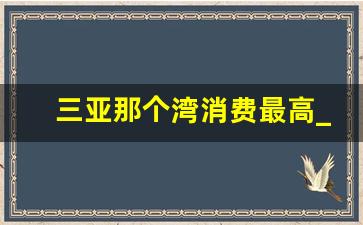 三亚那个湾消费最高_海月湾和大湾哪个好玩