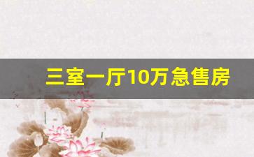 三室一厅10万急售房