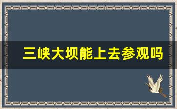 三峡大坝能上去参观吗_三峡大坝游览攻略