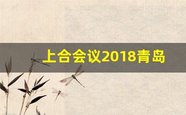 上合会议2018青岛影响_上合组织峰会2019青岛