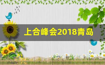 上合峰会2018青岛主题_上合组织青岛峰会2019