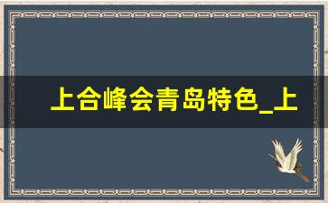 上合峰会青岛特色_上合峰会青岛成绩