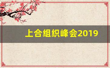 上合组织峰会2019_上合峰会日期敲定