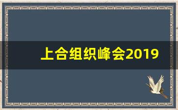 上合组织峰会2019青岛_青岛峰会2019时间