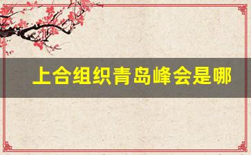 上合组织青岛峰会是哪一年召开的_青岛g20峰会是哪一年