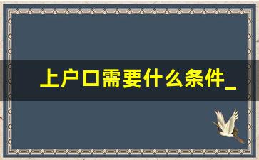 上户口需要什么条件_集体户口可以挂靠多久