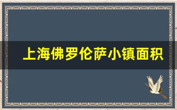 上海佛罗伦萨小镇面积