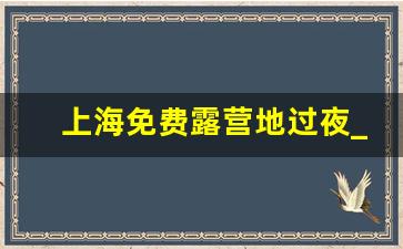 上海免费露营地过夜_上海露营地点推荐排名