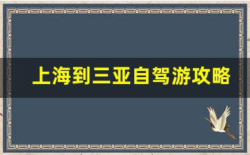 上海到三亚自驾游攻略及费用_上海至海南沿途城市